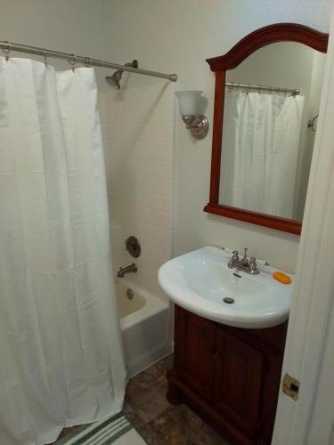 a bathroom with a sink and a shower with a mirror at Riffle Road Ranch in Spirit Lake