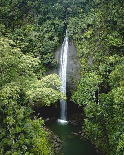 a waterfall in the middle of a forest at Edificio Regata INN in Buenaventura