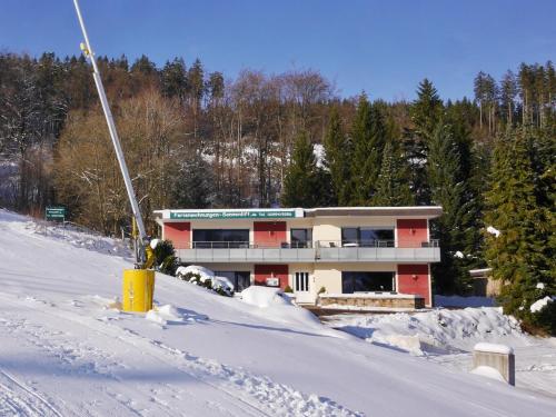 ヴィリンゲンにあるQuartier12 - Ski in & bike out - Fewo HANG & Fewo L!EBEの雪面の上の建物