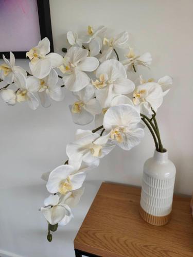 a white vase filled with white flowers on a table at Beautiful home near everything! in Christchurch