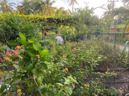 Zahrada ubytování Lana Land Homestay Phu Quoc