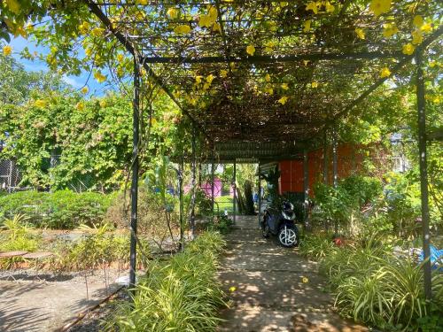 Zahrada ubytování Lana Land Homestay Phu Quoc