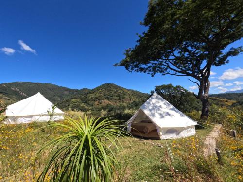 dos tiendas de campaña en un campo con montañas en el fondo en Glampings Hangar 5 Mexico, 