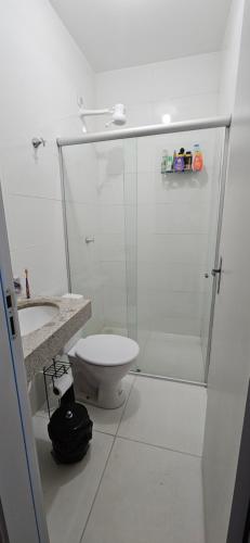 聖克魯斯－卡布拉利亞的住宿－Apto delux 150m praia，白色的浴室设有卫生间和淋浴。