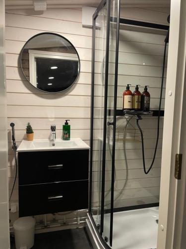 a bathroom with a shower with a sink and a mirror at Tunnelmallinen ja ihana mökki in Rovaniemi