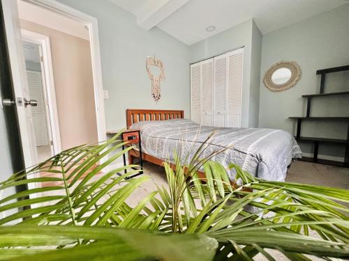 1 dormitorio con cama y planta en Ultra Modern - Entire 3 Bedroom Apartment - 5 min walk to the Beach, en Wildwood