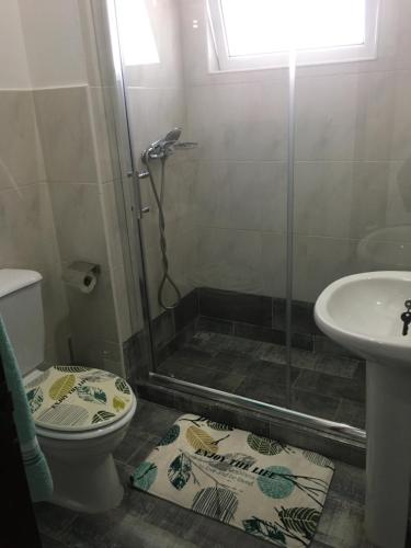 a bathroom with a shower and a toilet and a sink at Apartamento Llana in Santa Maria