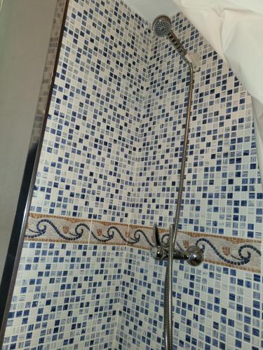 La salle de bains est pourvue d'une douche et de carrelage bleu et blanc. dans l'établissement ALCAZABA SKY, à Sierra Nevada