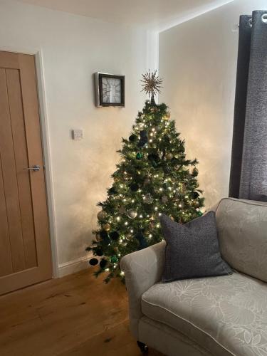 a christmas tree in a living room with a couch at Branlea - In the Heart of Ludlow in Ludlow