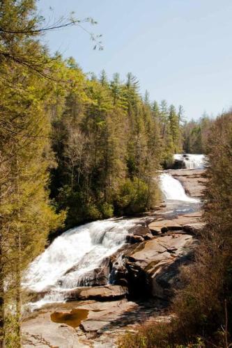 a waterfall in the middle of a forest at Bluebirds Nest 10 Min to AVL Biltmore hot tub cont bkfst sparkling water in Asheville
