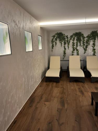 a waiting room with two chairs and plants on the wall at Family Hotel The View & SPA in Tsigov Chark