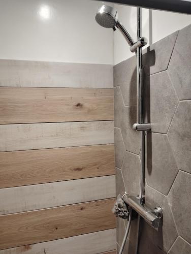 une douche dans une salle de bain avec un mur en bois dans l'établissement La cabane des pêcheurs, à Pont-d'Ouilly