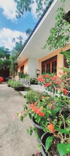 a group of flowers in pots in front of a building at Mountain Paradise Homestay in Bandarawela