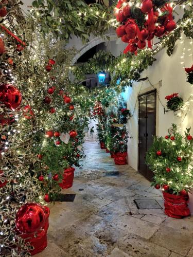 a hallway filled with christmas plants in red pots at Casa Zizì in Locorotondo