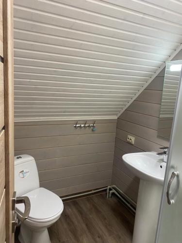 ein Bad mit einem WC und einem Waschbecken in der Unterkunft ЕКО-котедж in Werchowyna
