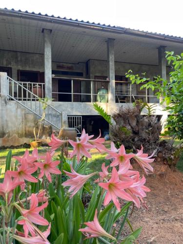 a group of pink flowers in front of a building at BaanYai Beach Resort Koh Mak in Ko Mak