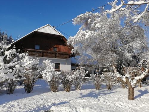 ein Haus mit schneebedeckten Bäumen davor in der Unterkunft Apartment Moser in Lutzmannsdorf