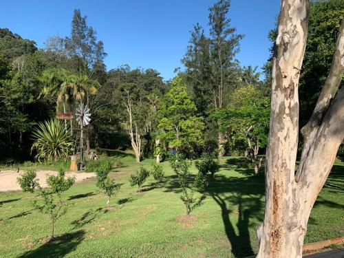 a park with trees and grass with a tree trunk at The Pottery Shed in Boambee