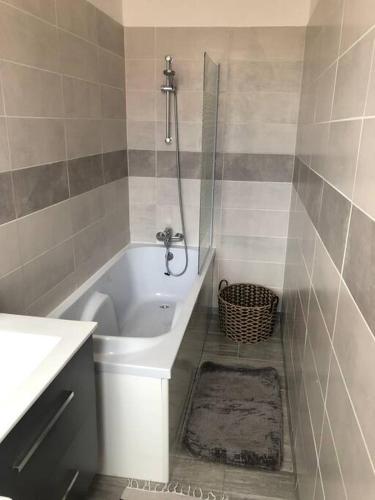 une salle de bain avec une douche, des toilettes et un lavabo dans l'établissement L'Ecrin de Lena, à Épernay