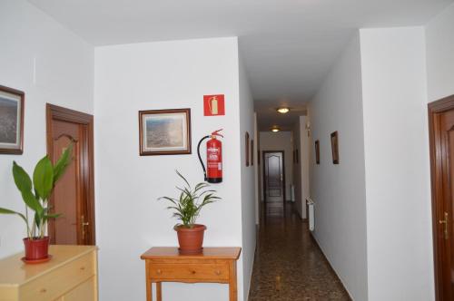 Fotografie z fotogalerie ubytování LABELLA - Hostal Rural Restaurante v destinaci La Calahorra
