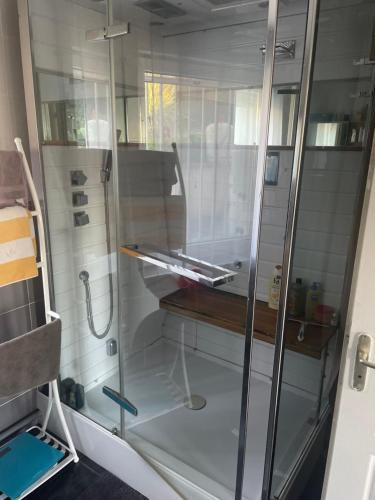 y baño con ducha y puerta de cristal. en chambre simple proche aéroport, en Pusignan