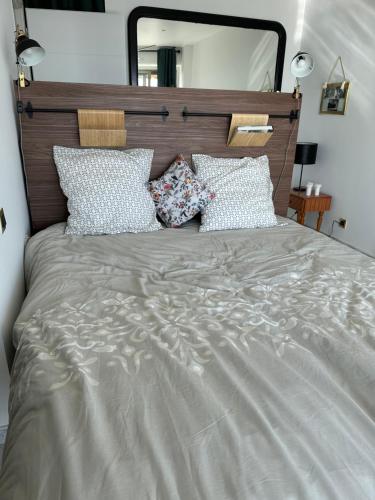 une chambre avec un grand lit avec un grand miroir dans l'établissement Appartement en Rez de jardin sur la mer, à Menton