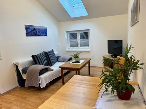 Gallery image of Haus Edelweiss in Obertraun