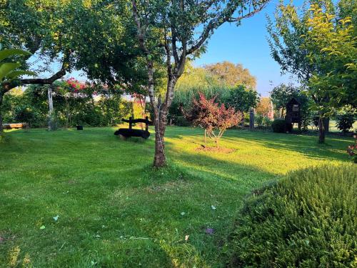 Κήπος έξω από το Villa Albaredo