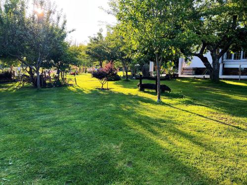 Κήπος έξω από το Villa Albaredo