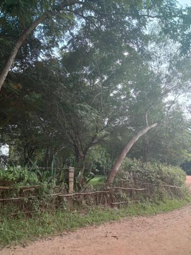 una valla de madera con árboles en el fondo en Aurodham, en Auroville
