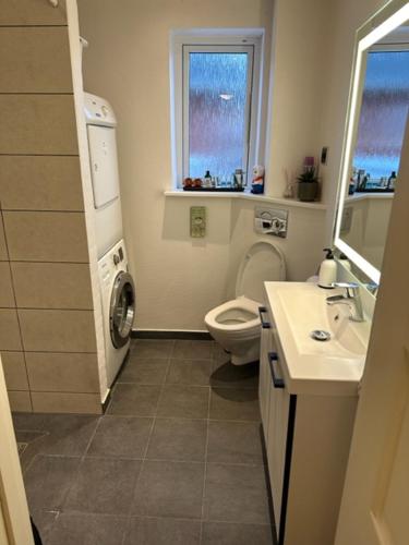 ein Badezimmer mit einem WC, einem Waschbecken und einer Waschmaschine in der Unterkunft Ikast Bed & Kitchen in Ikast