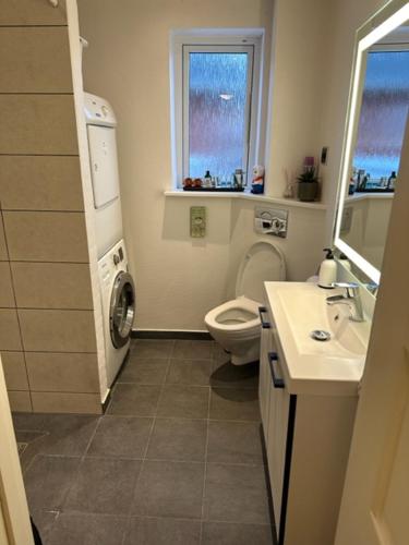 a bathroom with a toilet and a sink and a washing machine at Ikast Bed & Kitchen in Ikast