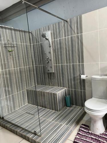 baño con ducha, aseo y puerta de cristal en Zii style guesthouse, en Vereeniging