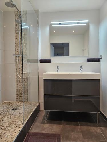 une salle de bain avec un lavabo et une douche dans l'établissement Appart 3 chambres-Gare 1 min-Disneyland Paris 6 min, à Bussy-Saint-Georges