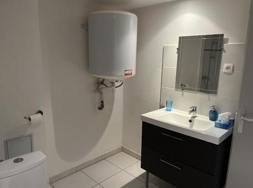 La salle de bains est pourvue de toilettes, d'un lavabo et d'un miroir. dans l'établissement Appartements RESIDILAVERDE Hypercentre, à Grenoble