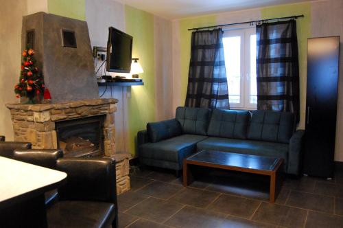 a living room with a couch and a fireplace at Apartaments Gory in Niedzica Zamek