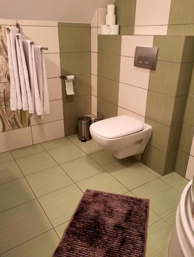 a bathroom with a toilet and a rug at Apartaments Gory in Niedzica Zamek