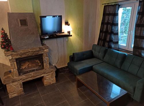 a living room with a couch and a fireplace at Apartaments Gory in Niedzica Zamek