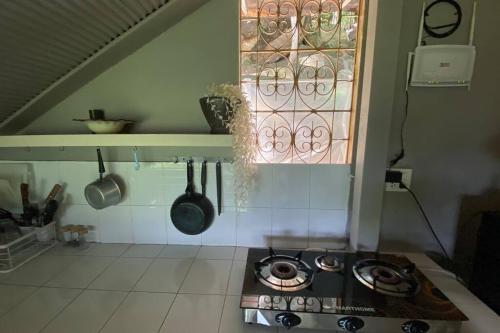 Kuchyň nebo kuchyňský kout v ubytování Jungle Living Experience