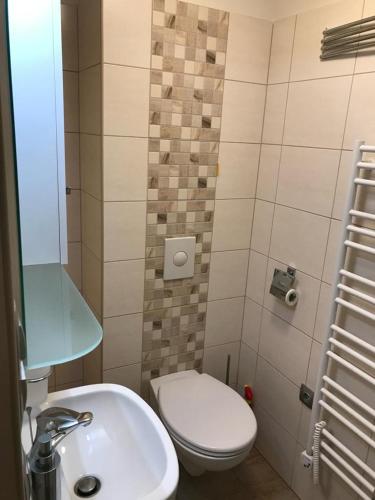 Łazienka z białą toaletą i umywalką w obiekcie Apartmán 15 Mísečky w mieście Horni Misecky
