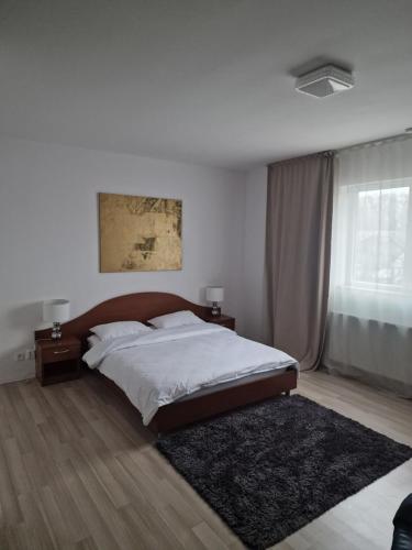 1 dormitorio con 1 cama grande y 1 alfombra en Eden, en Timisoara