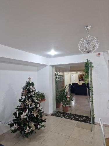 a christmas tree in a room with a living room at Eden in Timişoara