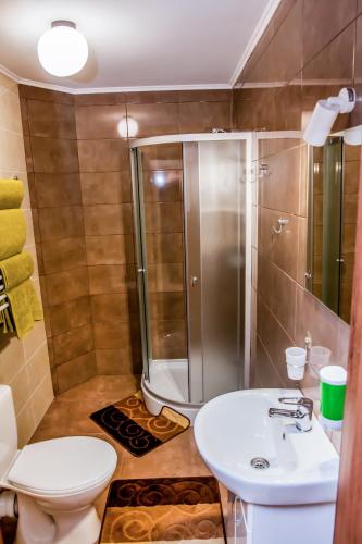 a bathroom with a shower and a toilet and a sink at Schale Centoriya in Mykulychyn