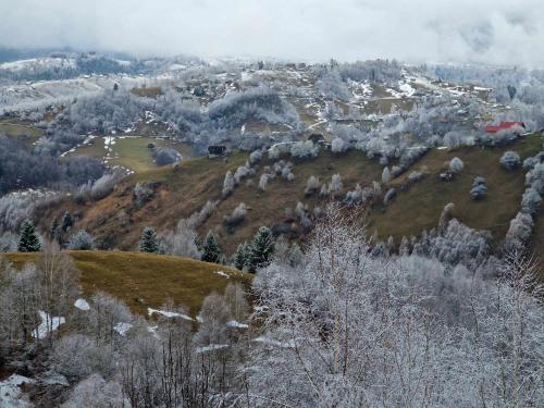 a view of a hill with a town on it at Alpine Escape Studios in Măgura