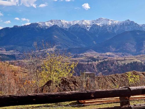 a wooden bench sitting on top of a mountain at Alpine Escape Studios in Măgura