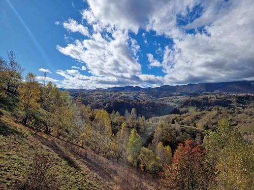a view of a valley with trees on a hill at Alpine Escape Studios in Măgura