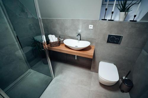 a bathroom with a toilet and a sink and a shower at Jamy House in Habovka