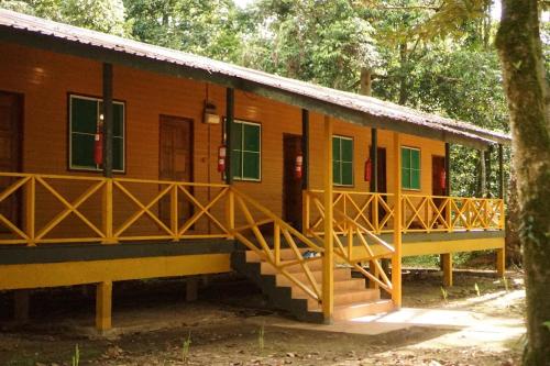 a house in the woods with a porch and a staircase at Borneo Jungle Adventure in Kinabatangan