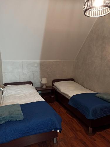 a bedroom with two beds and a chandelier at Apartaments Gory in Niedzica Zamek