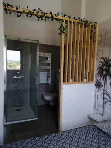 une salle de bain avec douche et toilettes dans l'établissement Oasis, à Frontignan